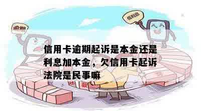 信用卡逾期起诉是本金还是利息加本金，欠信用卡起诉法院是民事嘛