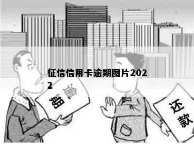 征信信用卡逾期图片2022