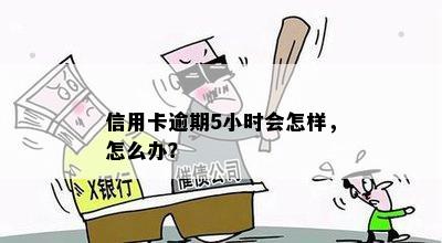 信用卡逾期5小时会怎样，怎么办？