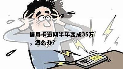 信用卡逾期半年变成35万，怎么办？