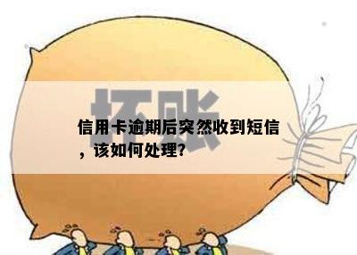 信用卡逾期后突然收到短信，该如何处理？