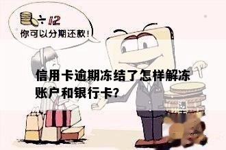 信用卡逾期冻结了怎样解冻账户和银行卡？