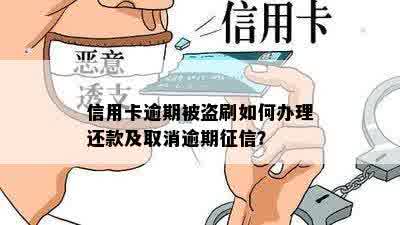 信用卡逾期被盗刷如何办理还款及取消逾期征信？