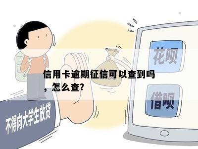 信用卡逾期征信可以查到吗，怎么查？