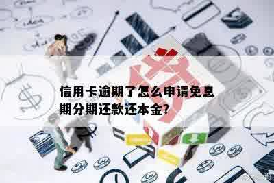 信用卡逾期了怎么申请免息期分期还款还本金？