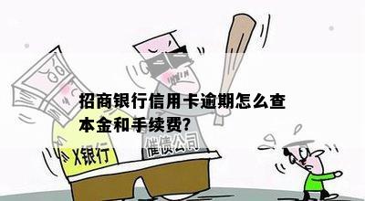 招商银行信用卡逾期怎么查本金和手续费？