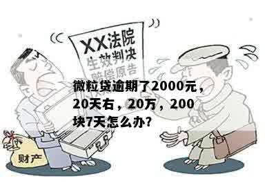 微粒贷逾期了2000元，20天右，20万，200块7天怎么办？