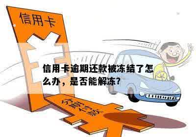 信用卡逾期还款被冻结了怎么办，是否能解冻？