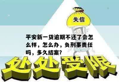 平安新一贷逾期不还了会怎么样，怎么办，负刑事责任吗，多久结案？