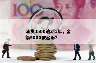 浦发3500逾期1年，金额5000被起诉？