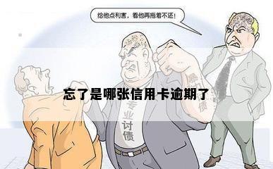 忘了是哪张信用卡逾期了