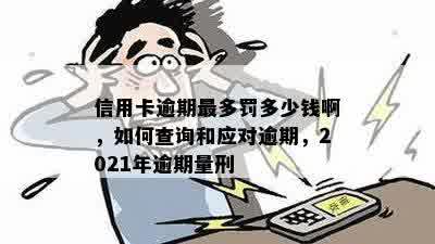 信用卡逾期最多罚多少钱啊，如何查询和应对逾期，2021年逾期量刑