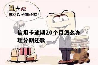 信用卡逾期20个月怎么办理分期还款