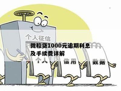 微粒贷1000元逾期利息及手续费详解