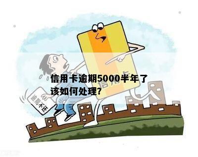 信用卡逾期5000半年了该如何处理？