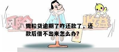 微粒贷逾期了咋还款了，还款后借不出来怎么办？