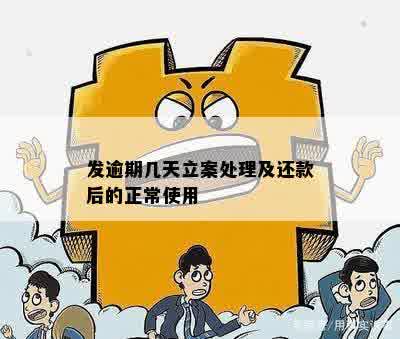 发逾期几天立案处理及还款后的正常使用