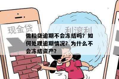 微粒贷逾期不会冻结吗？如何处理逾期情况？为什么不会冻结资产？