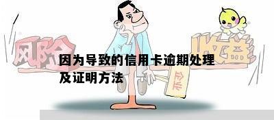 因为导致的信用卡逾期处理及证明方法