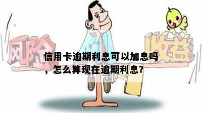 信用卡逾期利息可以加息吗，怎么算现在逾期利息？