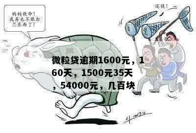 微粒贷逾期1600元，160天，1500元35天，54000元，几百块