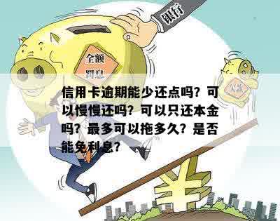 信用卡逾期能少还点吗？可以慢慢还吗？可以只还本金吗？最多可以拖多久？是否能免利息？