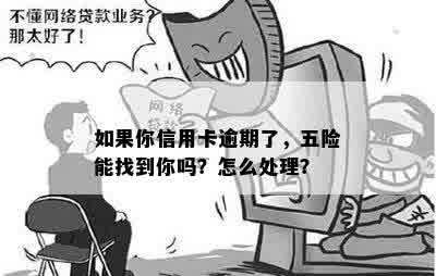 如果你信用卡逾期了，五险能找到你吗？怎么处理？