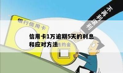 信用卡1万逾期5天的利息和应对方法