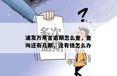 浦发万用金逾期怎么查，查询还有几期，没有钱怎么办