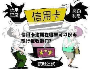 信用卡逾期在哪里可以投诉银行催收部门？