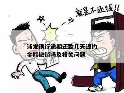 浦发银行逾期还款几天违约金能撤销吗及相关问题