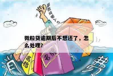 微粒贷逾期后不想还了，怎么处理？