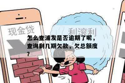 怎么查浦发是否逾期了呢，查询剩几期欠款，欠总额度？