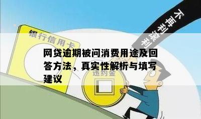 网贷逾期被问消费用途及回答方法，真实性解析与填写建议