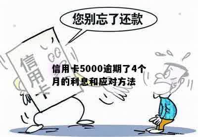 信用卡5000逾期了4个月的利息和应对方法