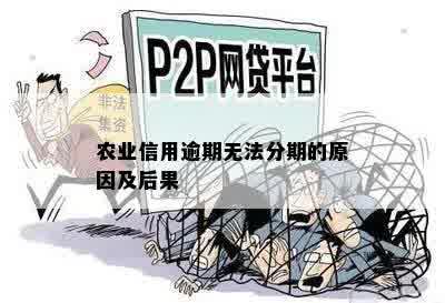 农业信用逾期无法分期的原因及后果