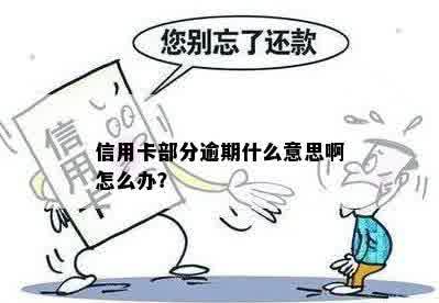 信用卡部分逾期什么意思啊怎么办？