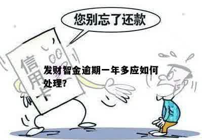 发财智金逾期一年多应如何处理？