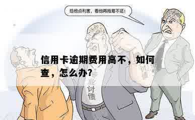 信用卡逾期费用高不，如何查，怎么办？