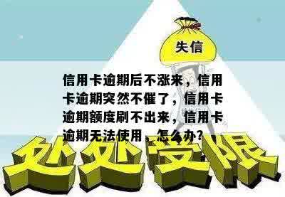 信用卡逾期后不涨来，信用卡逾期突然不催了，信用卡逾期额度刷不出来，信用卡逾期无法使用，怎么办？