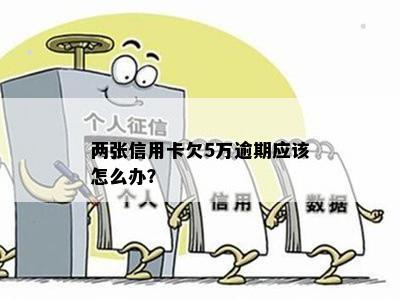 两张信用卡欠5万逾期应该怎么办？