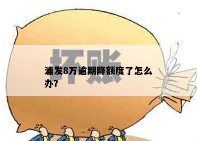 浦发8万逾期降额度了怎么办？