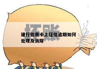 建行信用卡上征信逾期如何处理及消除