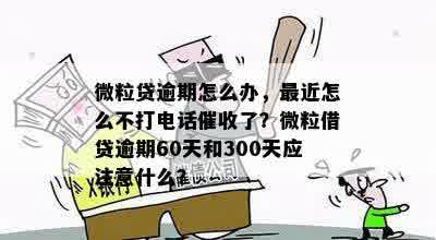 微粒贷逾期怎么办，最近怎么不打电话催收了？微粒借贷逾期60天和300天应注意什么？