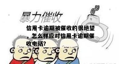 信用卡逾期被催收的很绝望，怎么样应对信用卡逾期催收电话？