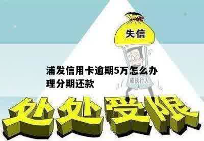 浦发信用卡逾期5万怎么办理分期还款