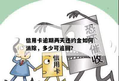 信用卡逾期两天违约金如何消除，多少可追回？