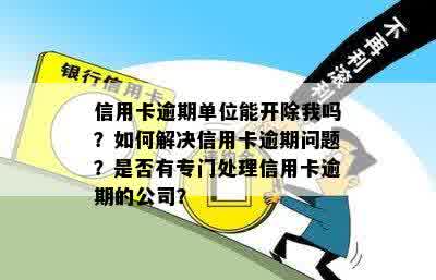 信用卡逾期单位能开除我吗？如何解决信用卡逾期问题？是否有专门处理信用卡逾期的公司？