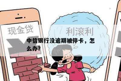 中信银行没逾期被停卡，怎么办？