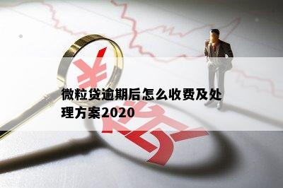 微粒贷逾期后怎么收费及处理方案2020